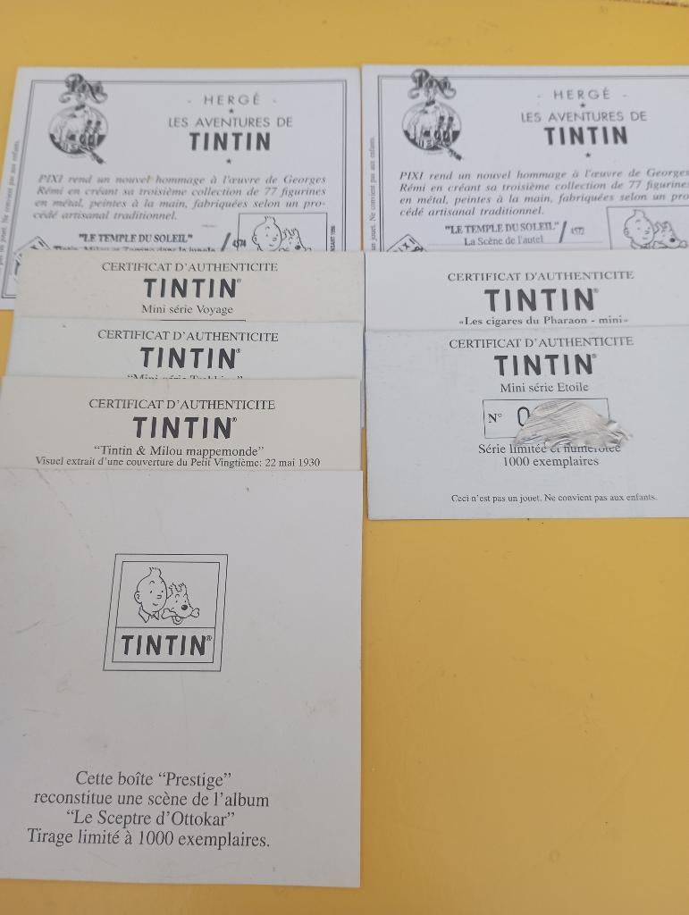 Pixi Tintin de  1 certificaat, Verzamelen, Verzenden, Gebruikt, Fantasy