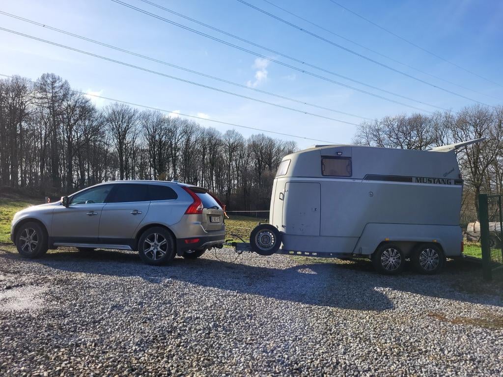 Location Van 2 chevaux "Mustang" MMA 2 T !, Animaux & Accessoires, Enlèvement