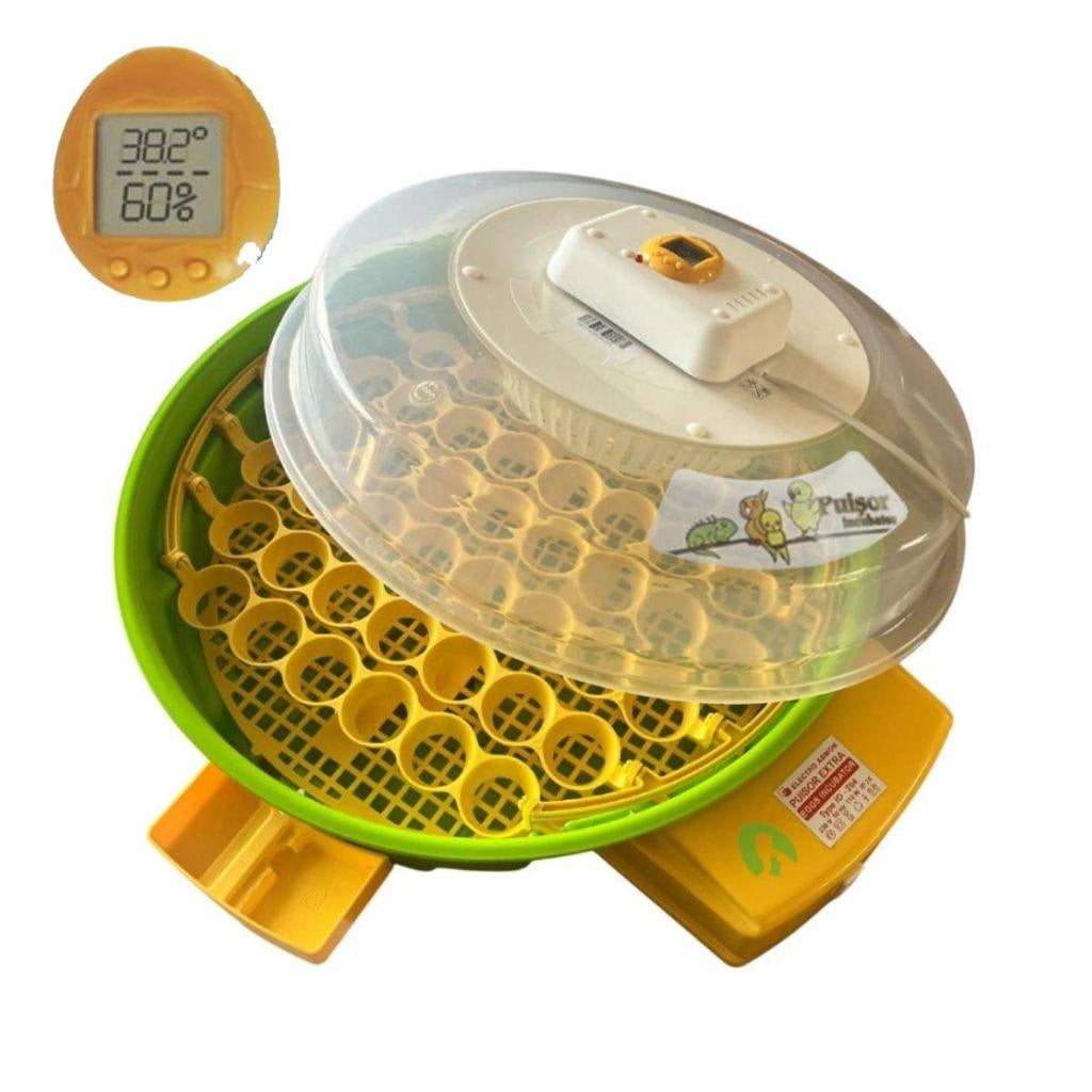 Incubateur Puisor Exotic X2 Expert + œufs à incuber GRATUITS, Animaux & Accessoires, Volatiles | Accessoires, Neuf, Couveuse, Envoi