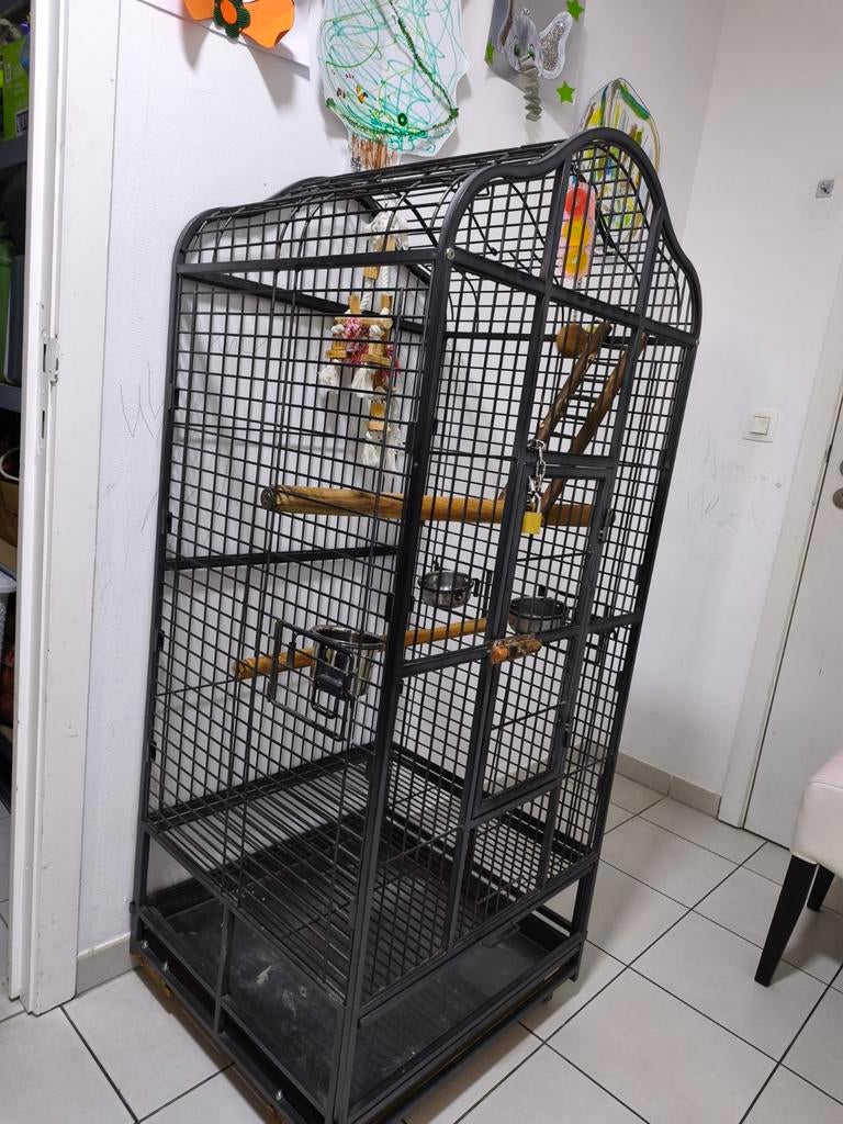 Papegaai kooi, Ophalen
