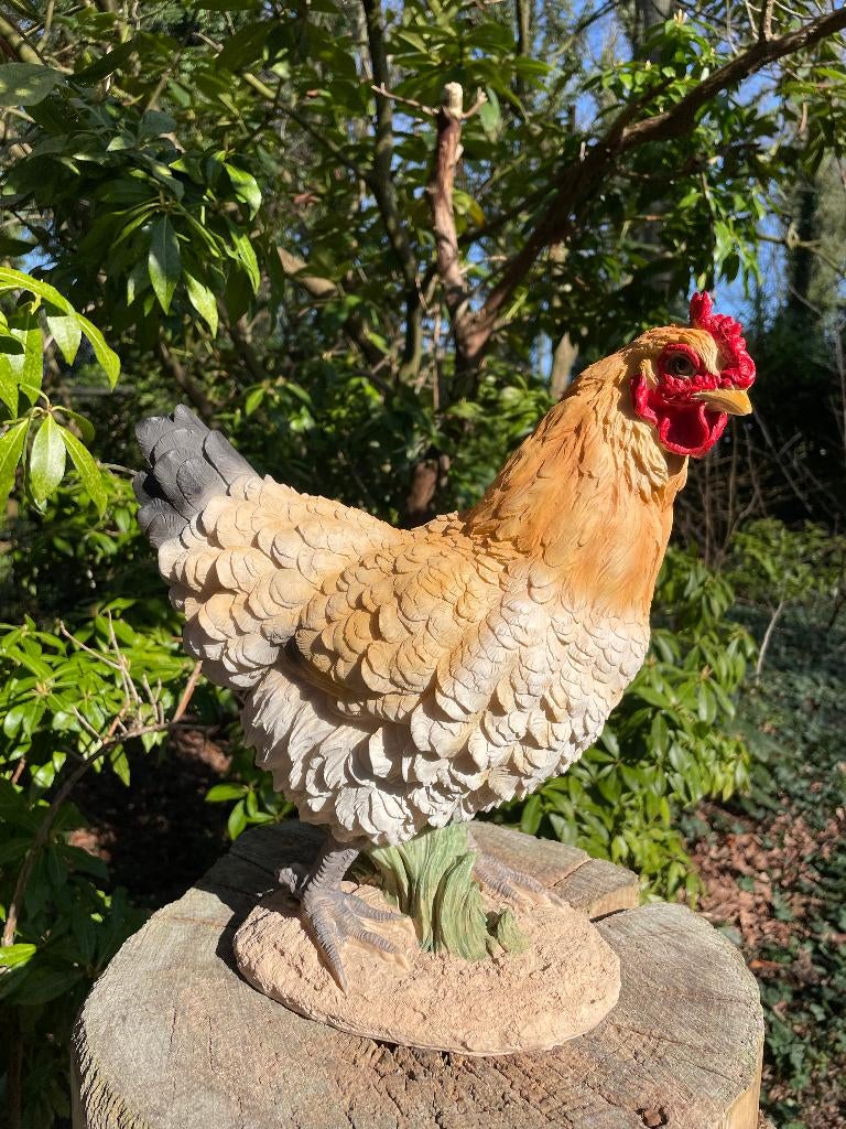 Beeld Haan, tuin, vijver, gazon, boerderij 33cm, Ophalen of Verzenden, Nieuw, Kunststof, Dierenbeeld