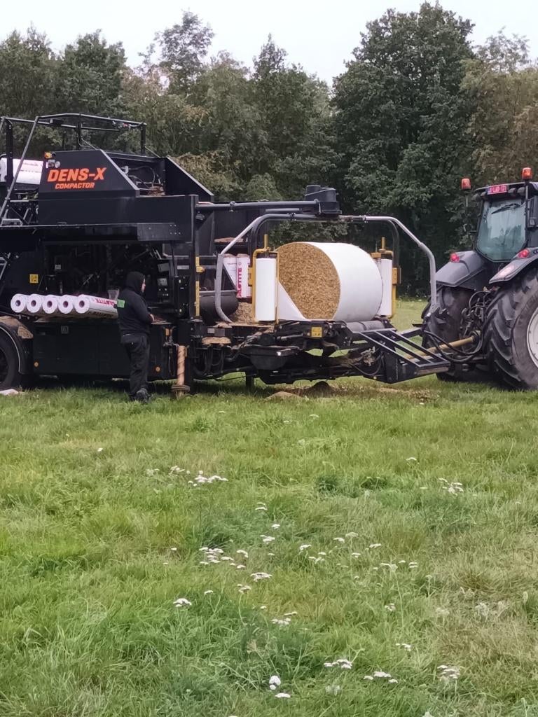 Maisbalen, Zakelijke goederen, Landbouw | Veevoer, Verzenden