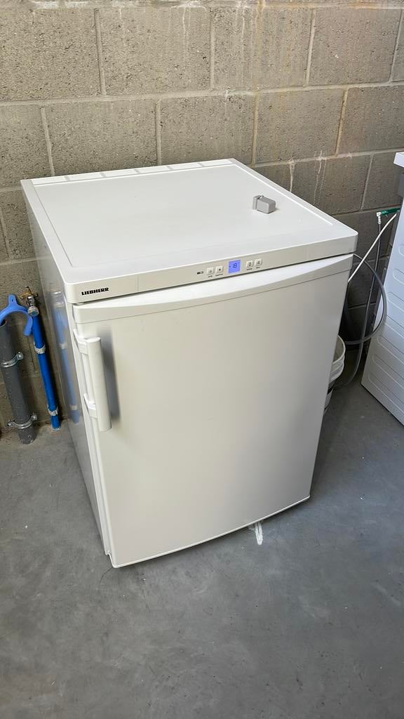 Diepvries Liebherr 104l, Ophalen, Zo goed als nieuw