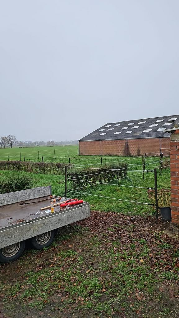 Gratis stalling, Dieren en Toebehoren, Weidegang, 1 paard of pony