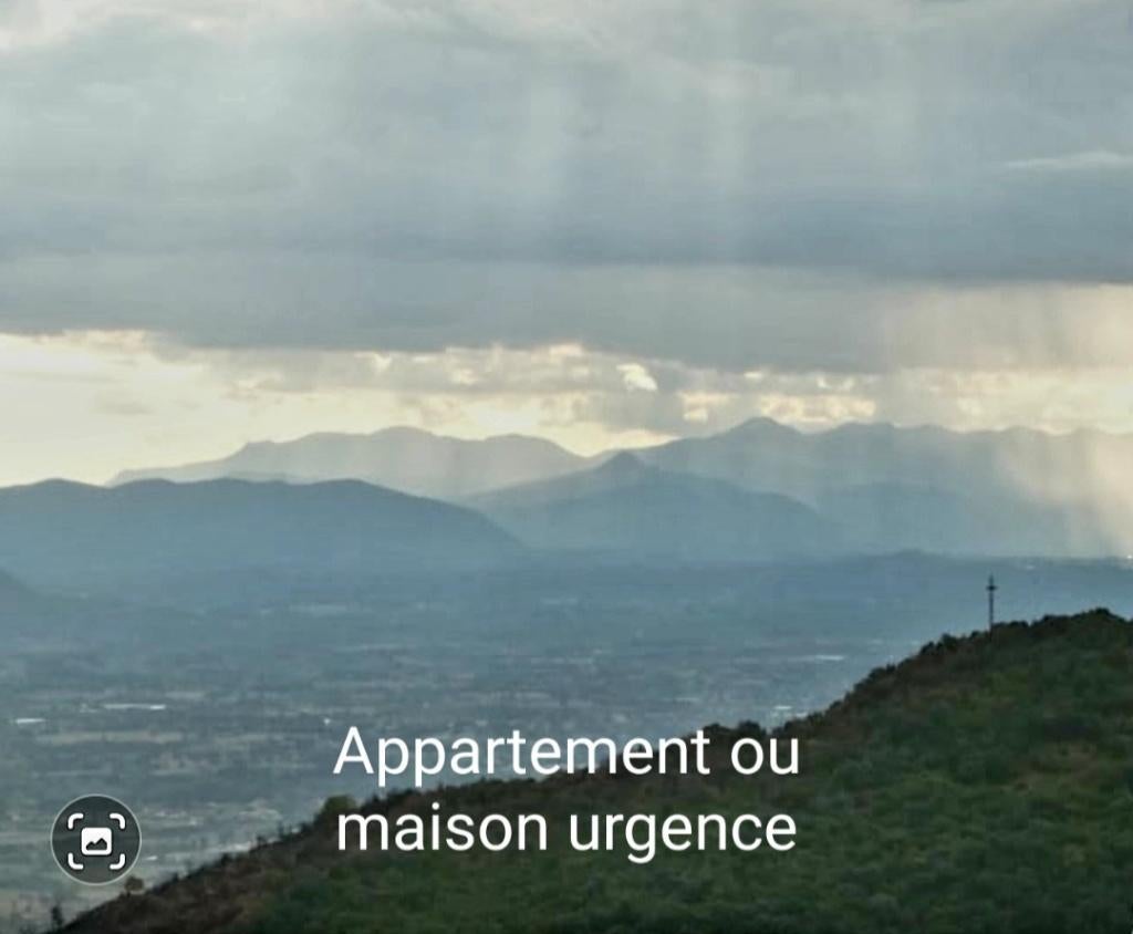 Appartement ou maison en urgence, Immo