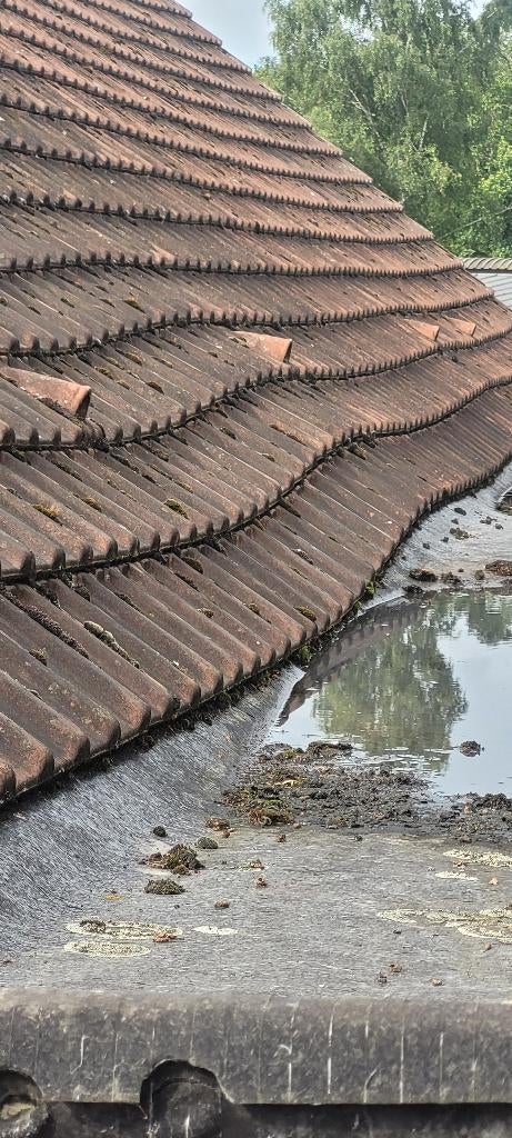 TUILES, Bricolage & Construction, Tuiles & Revêtements de toit, Enlèvement, Utilisé, Autres matériaux, Tuiles