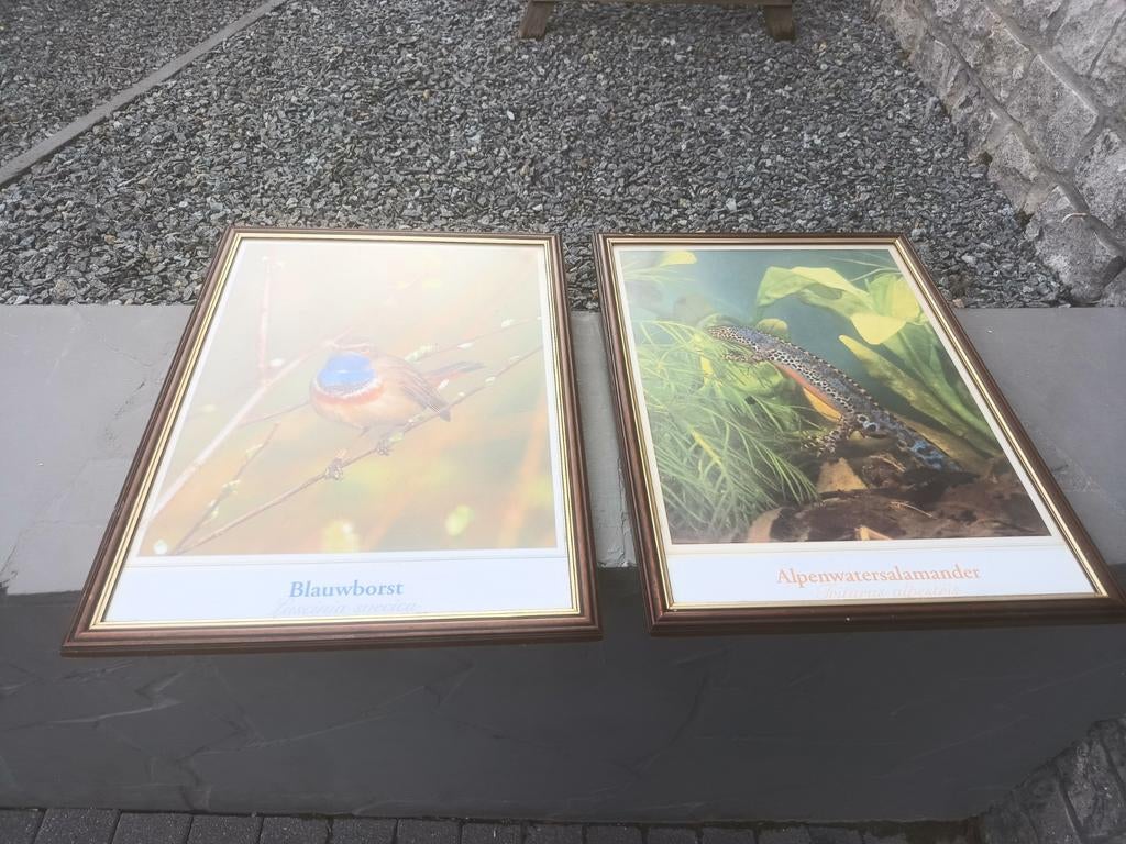 2 vintage educatieve / didactische school kaders, Antiek en Kunst, Ophalen