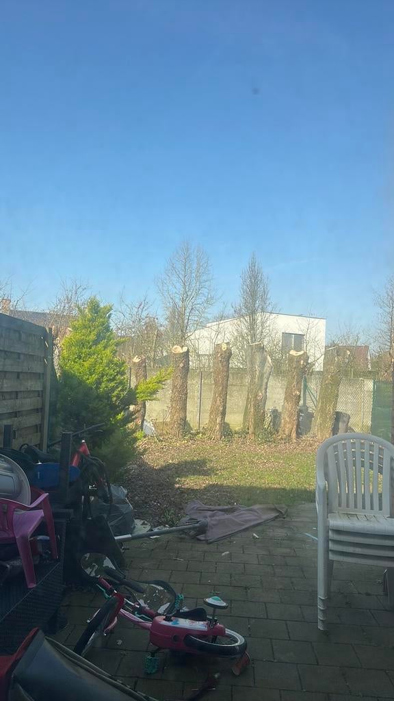 Qui veut nettoyer mon jardin ?, Offres d'emploi