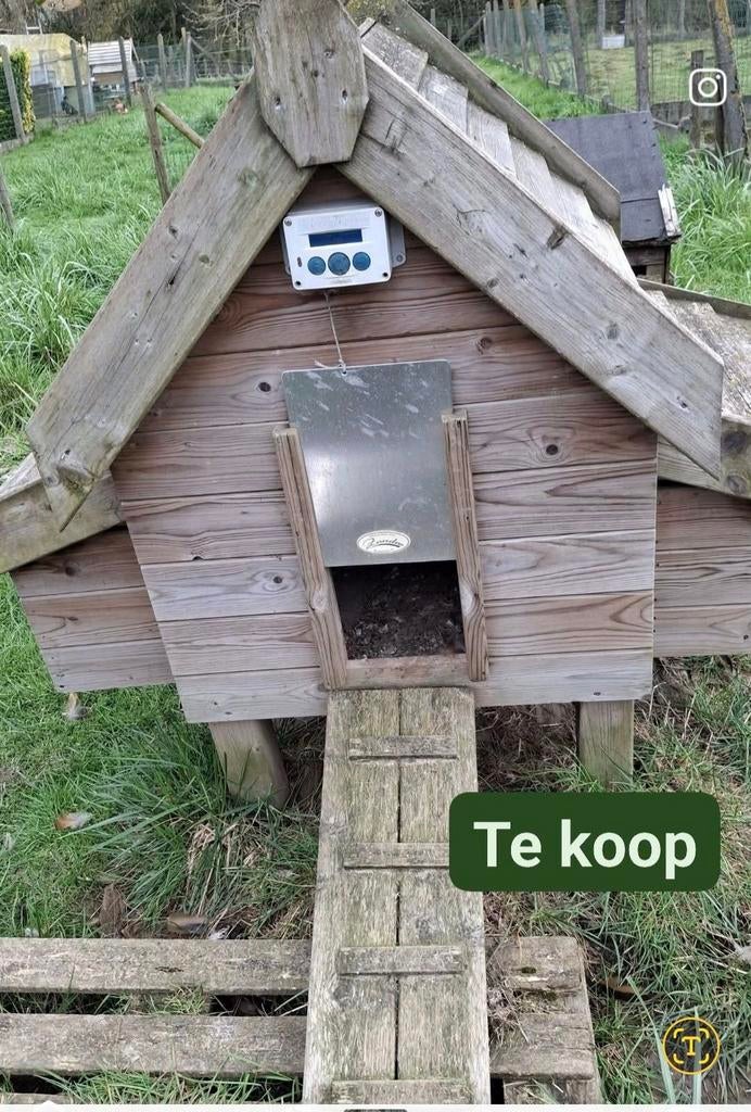 Kippenhok zander  met  luik en  2  legbakken, Enlèvement