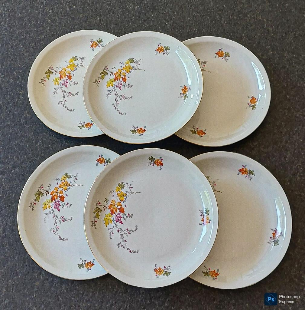 6 dessertborden Colditz Porzellan, Antiek en Kunst, Antiek | Servies los, Ophalen of Verzenden