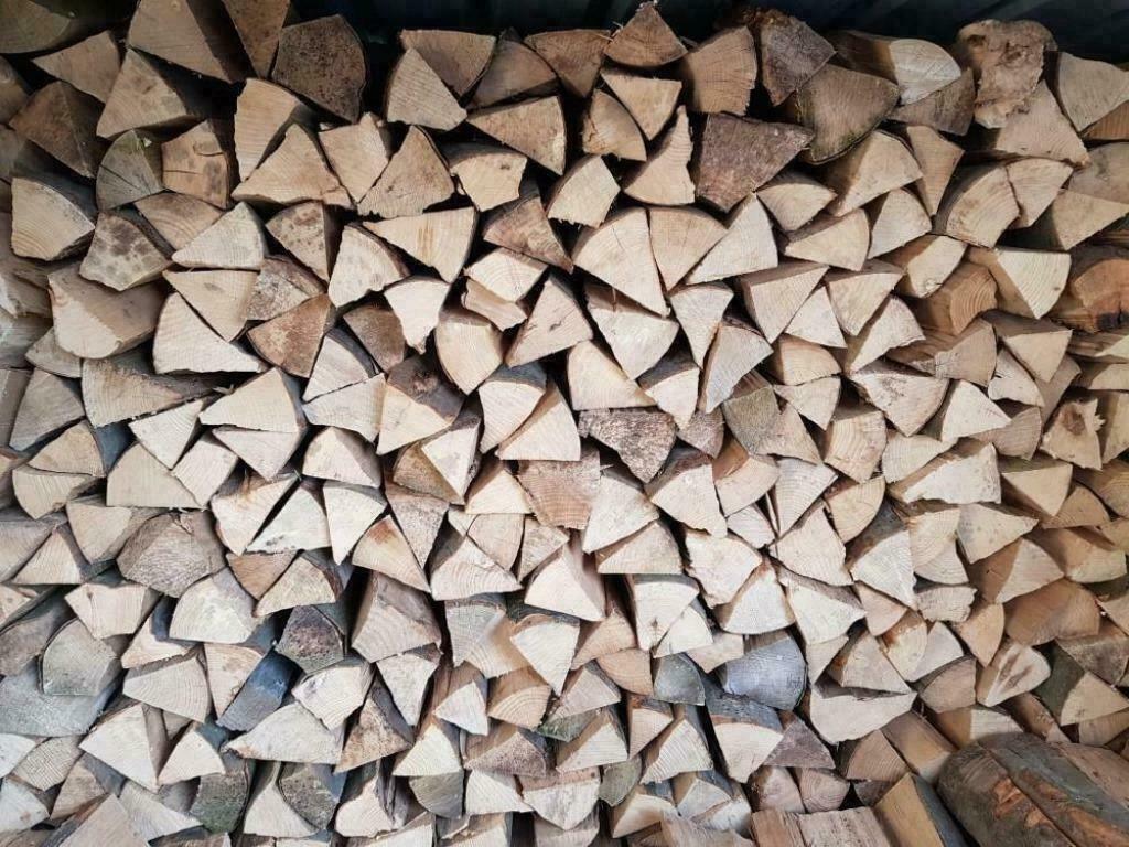 Brandhout, Enlèvement, Hêtre, Bûches