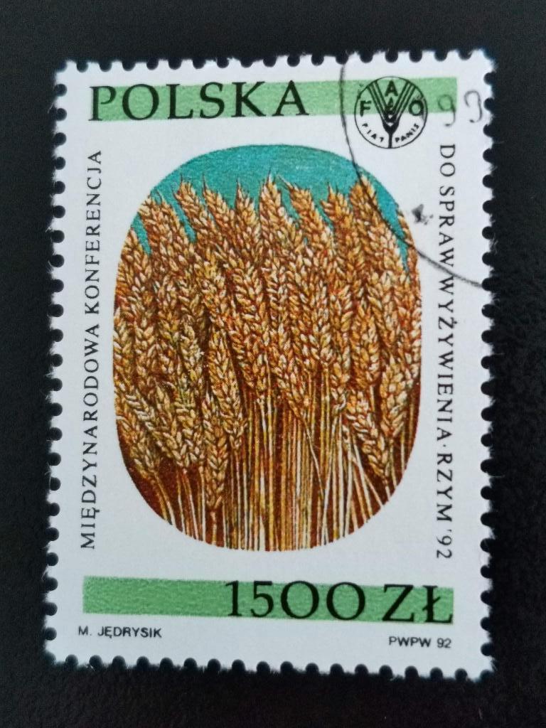 Pologne 1992 - épis de blé, conférence alimentaire à Rome, Enlèvement ou Envoi, Pologne, Affranchi