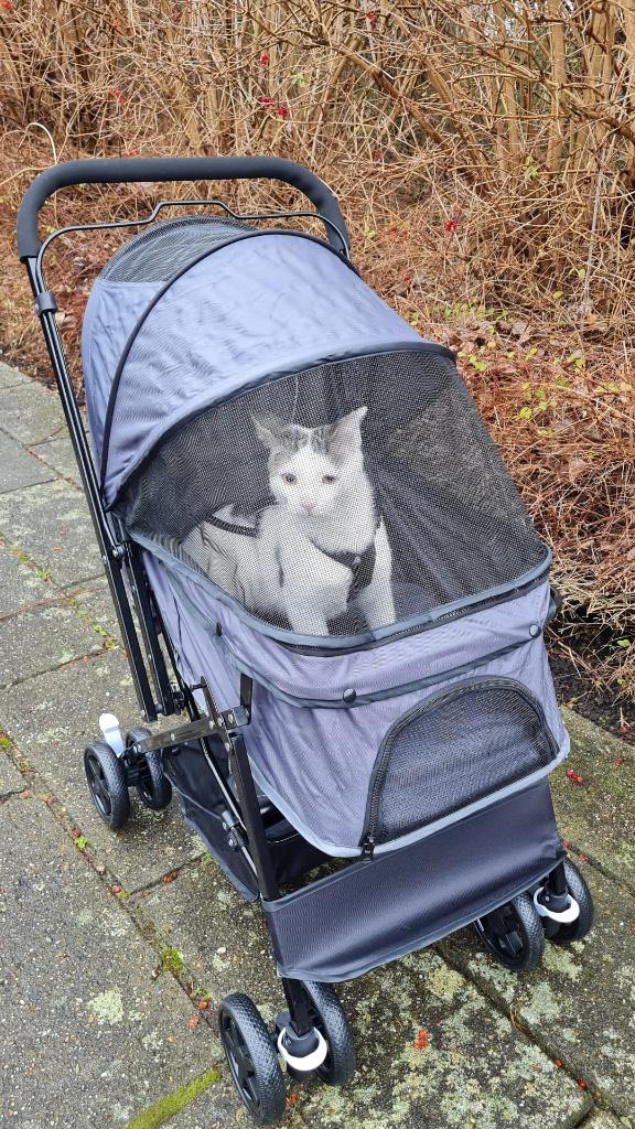 buggy voor kat of hond €55,00, Dieren en Toebehoren, Ophalen, Gebruikt