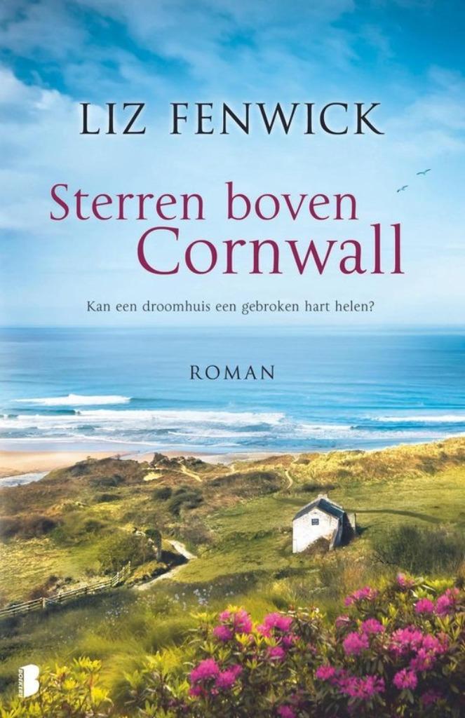 Boeken deel 2 / keuze uit 21 romans, Boeken, Ophalen of Verzenden, Gelezen