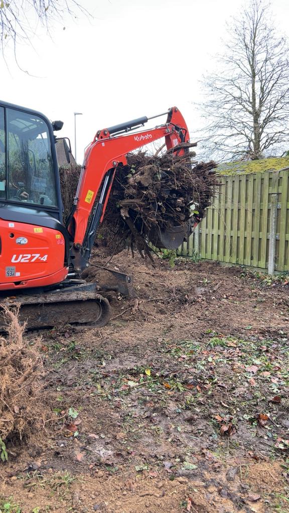 Excavation de souches et de plantes, Jardin & Terrasse, Enlèvement
