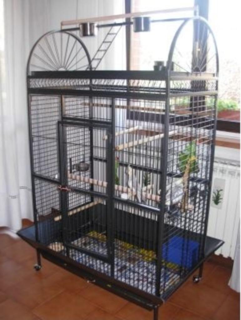 Cage perroquet XXL ARA cage cacatoes cage amazone gris gabon, Animaux & Accessoires, Envoi, Neuf, Métal, Volière