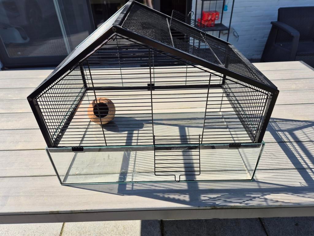 Belle cage pour petits rongeurs., Animaux & Accessoires, Enlèvement, Cage