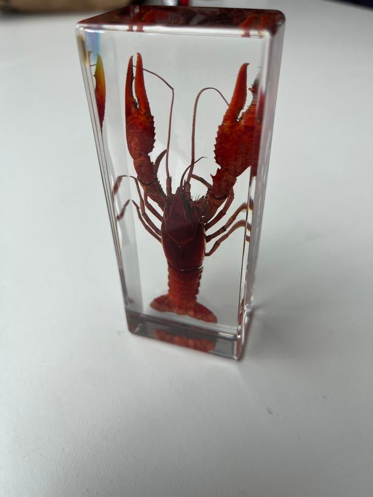 Homard en résine, Antiquités & Art, Enlèvement ou Envoi