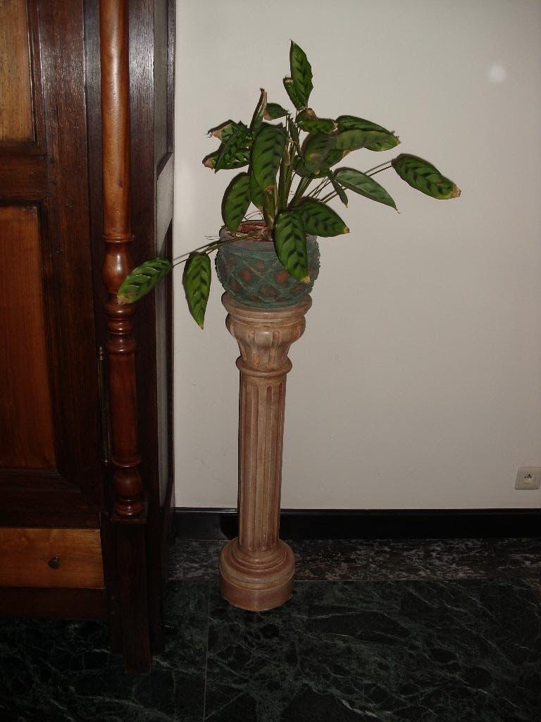 colonne/console/pied de stalle patinée en pierre blanche, Enlèvement, Utilisé