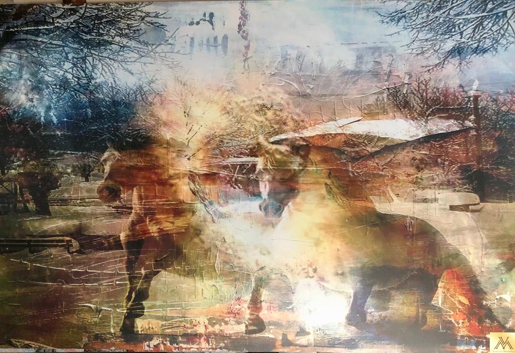 Deux poneys dans la prairie, Enlèvement