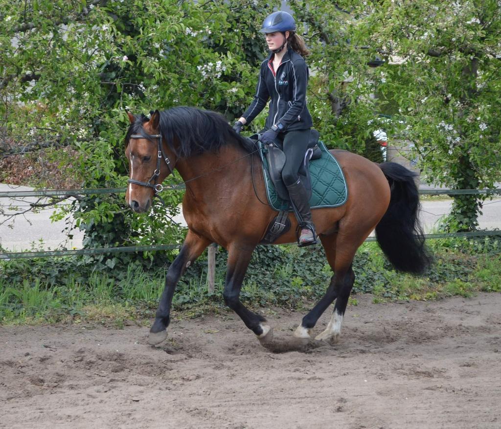 Zadelmak maken, doorrijden, lessen, Enlèvement
