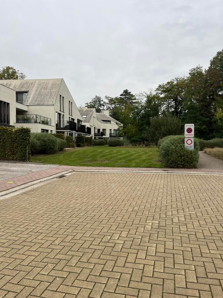 Maaien gazons, pleinen, velden groot& klein, Diensten en Vakmensen, Tuinonderhoud of Snoeiwerk