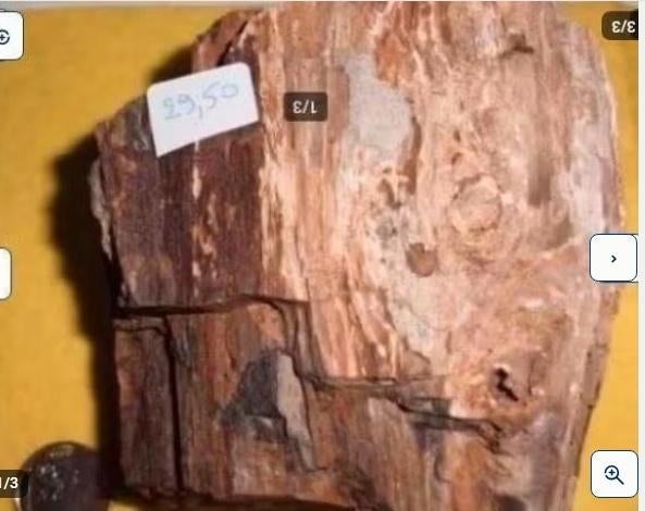 prachtige ruwe brok versteend hout of houtsteen, Verzamelen, Mineralen en Fossielen, Ophalen of Verzenden