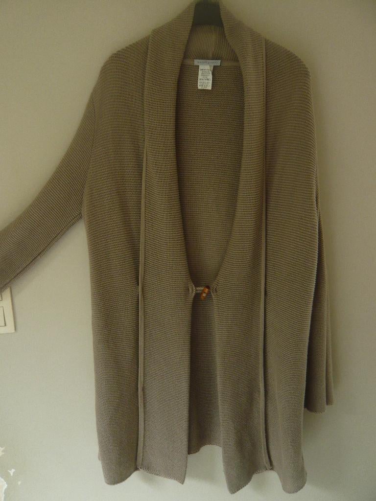 Grijze beige jas van Sarah Pacini nieuw breed, Sarah pacini, Beige, Maat 46/48 (XL) of groter, Nieuw