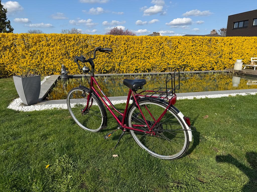 Fiets gazelle 28 inch rood, Ophalen, Gebruikt, Gazelle, Versnellingen