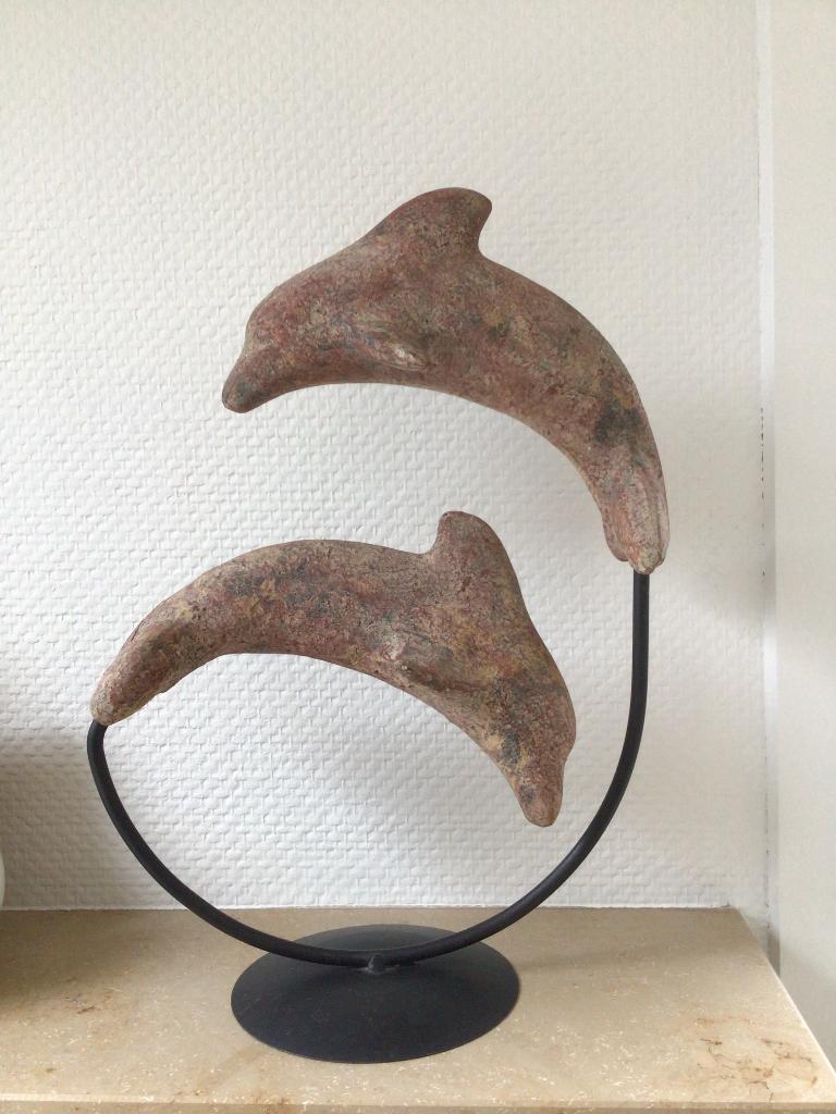 Mooi dolfijnen beeld, Ophalen