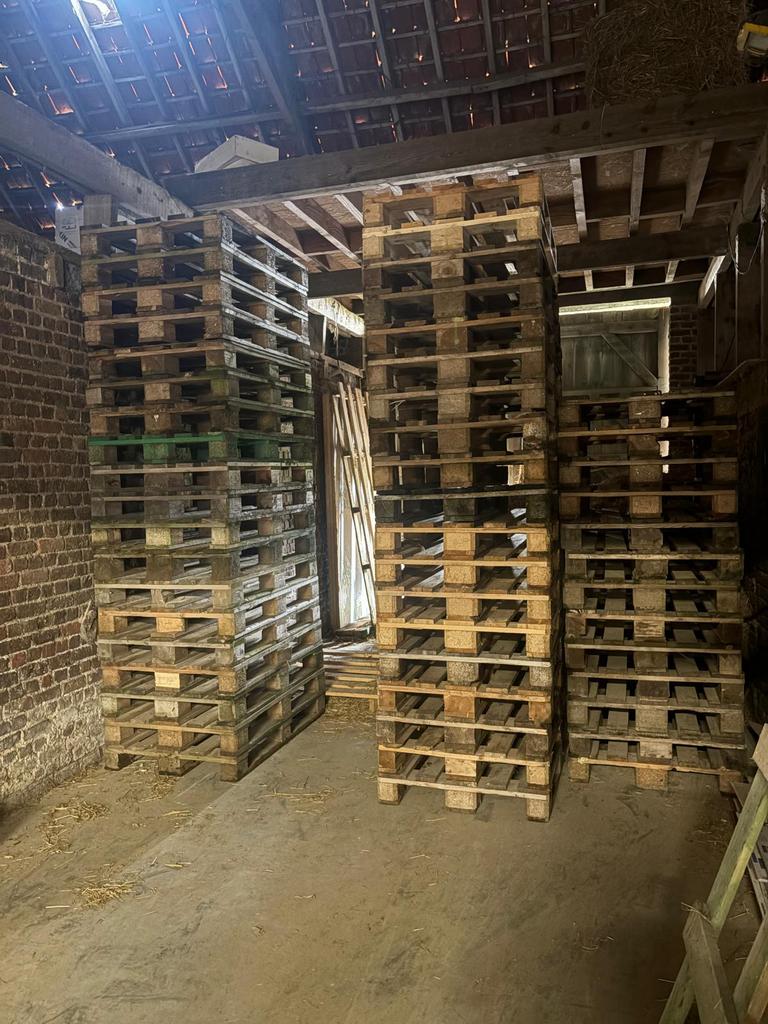 Europaletten te koop wervik, Doe-het-zelf en Bouw, Hout en Planken, Ophalen, Gebruikt, Pallet