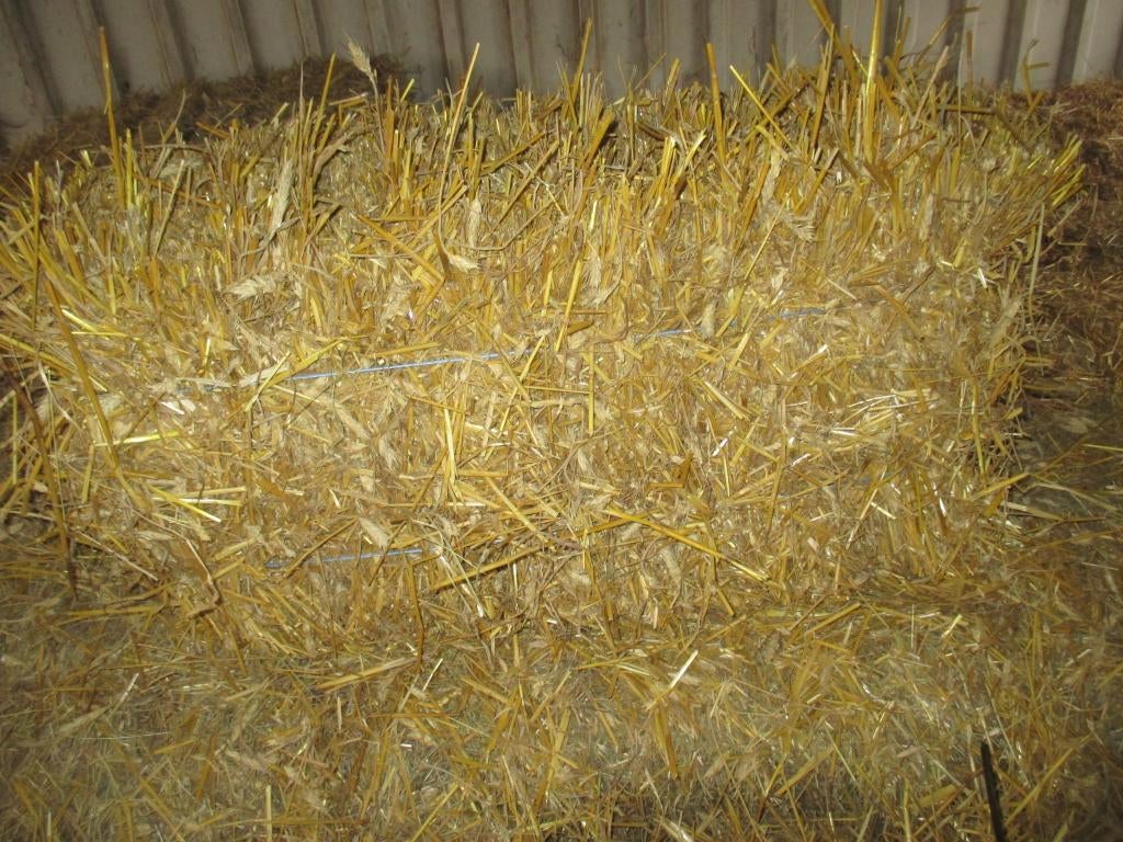 stro2025, Enlèvement