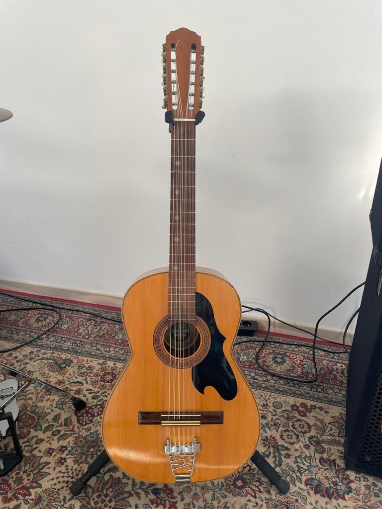 Juan ESTRUCH Folk 12 strings 7/8 klassieke gitaar, Muziek en Instrumenten, Ophalen, Gebruikt, Klassieke of Spaanse gitaar, 12-snarig