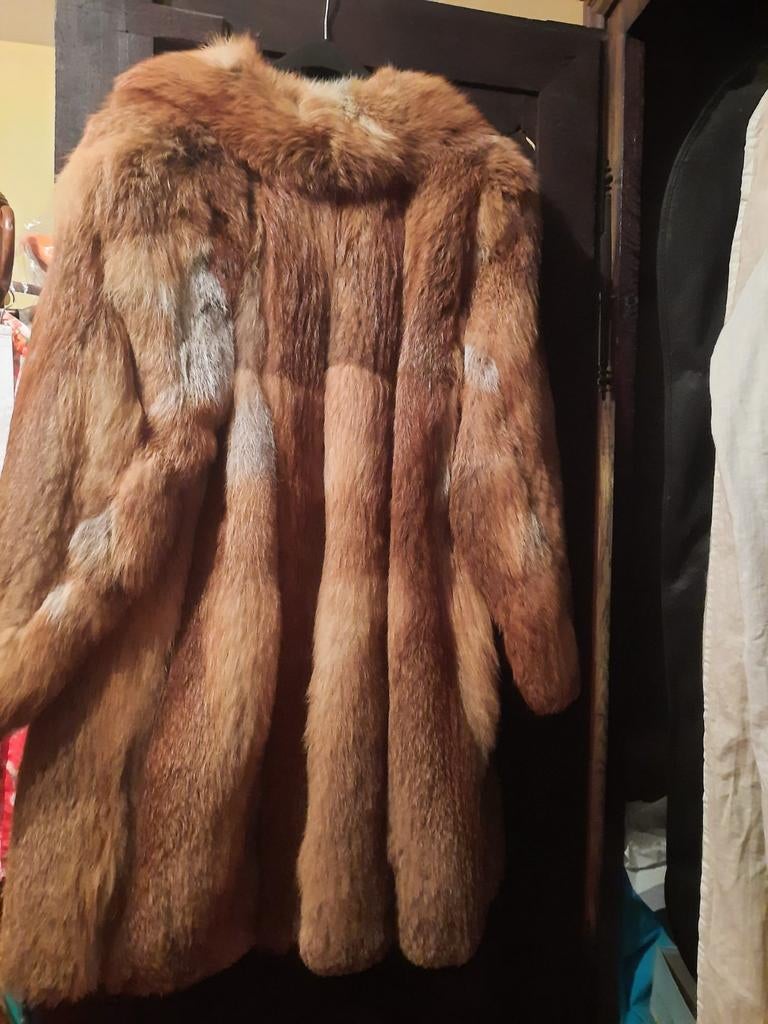 Menteau en Renard roux, Vêtements | Femmes, Vestes | Hiver, Enlèvement