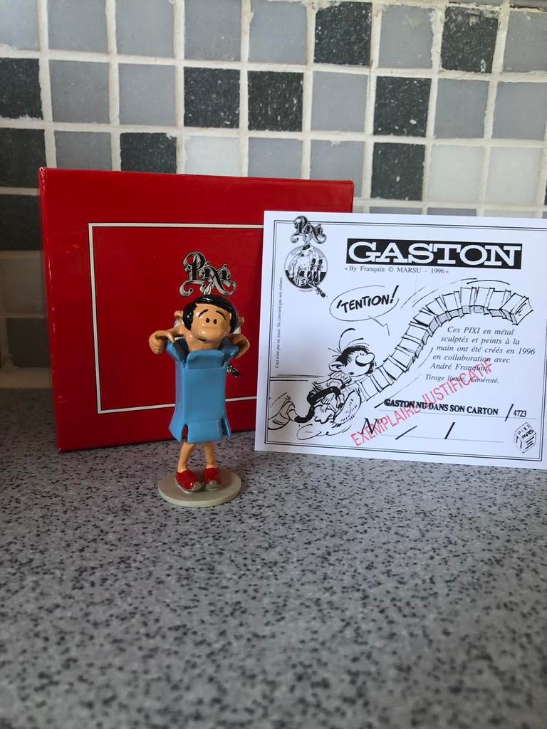 Gaston nu dans son carton - pixi, Enlèvement ou Envoi, Comme neuf