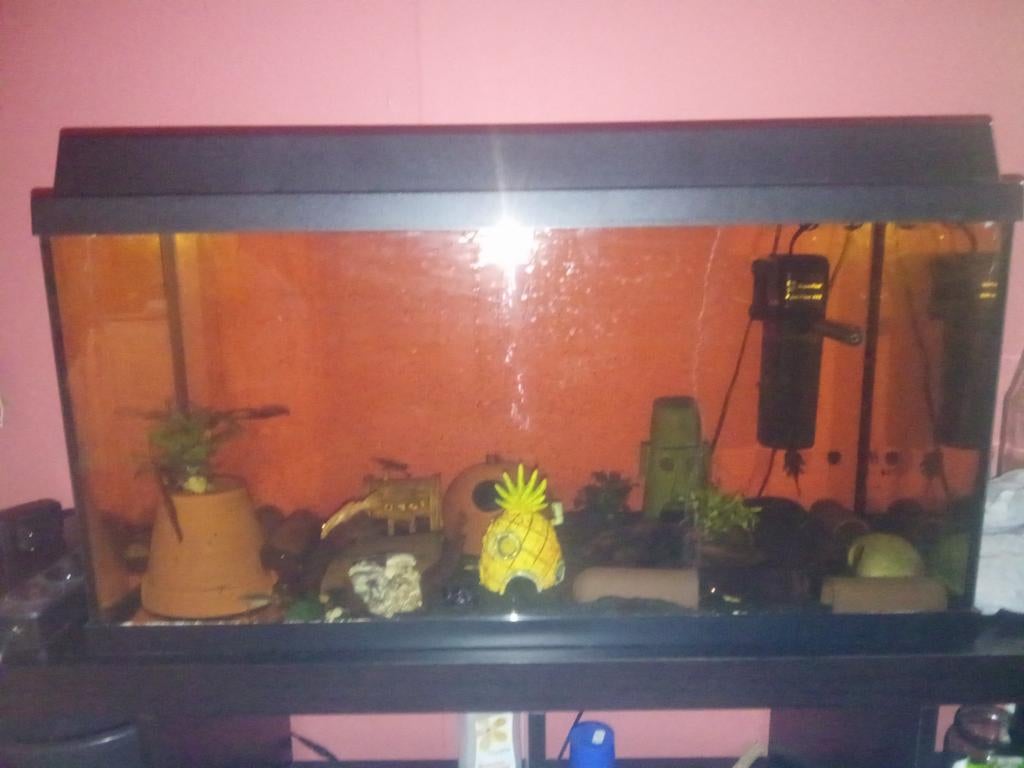 Aquarium 800,400350, Dieren en Toebehoren, Ophalen