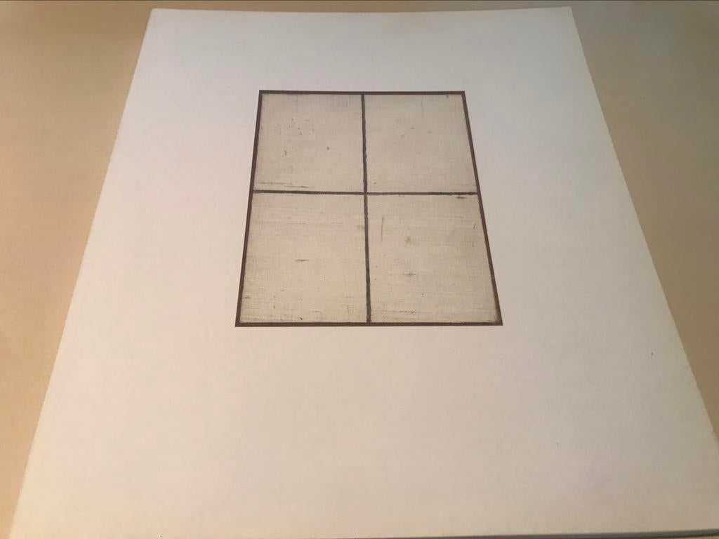 Peintures et dessins de Dan Van Severen, 150 pages, Enlèvement ou Envoi, Comme neuf, Peinture et dessin