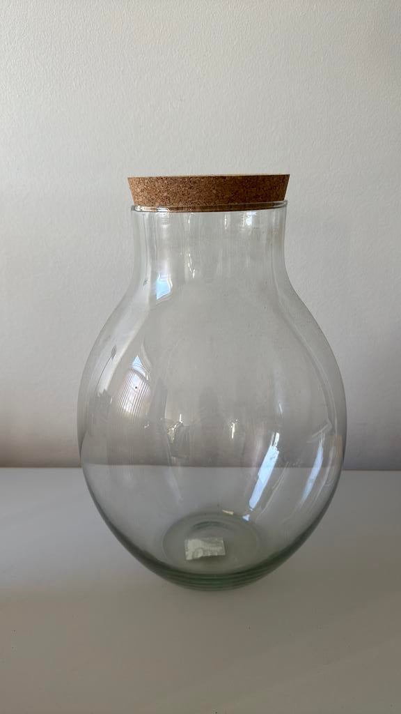 Grand vase pour terrarium - nouveau !, Enlèvement, Comme neuf