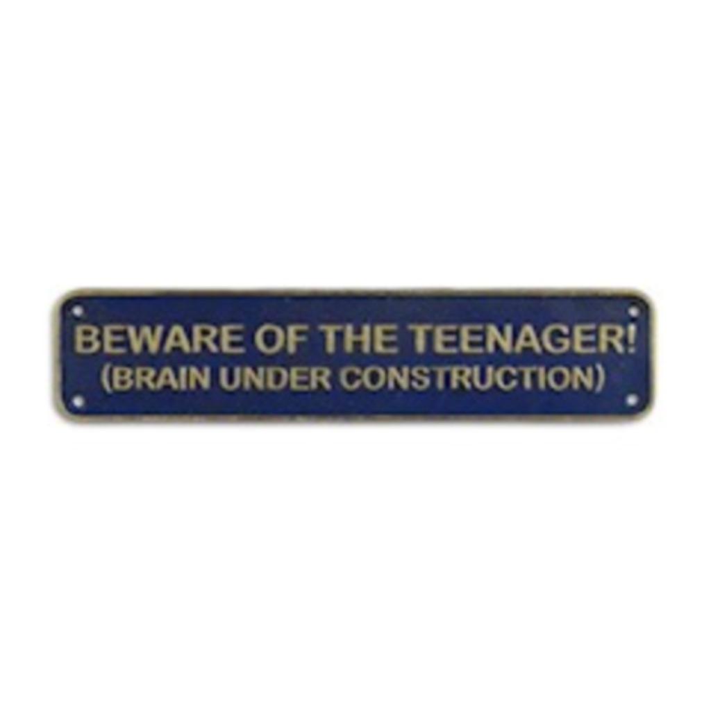 Beware of teenager zwaar gietijzer bord leuke mancave kado, Enlèvement ou Envoi, Comme neuf, Panneau publicitaire