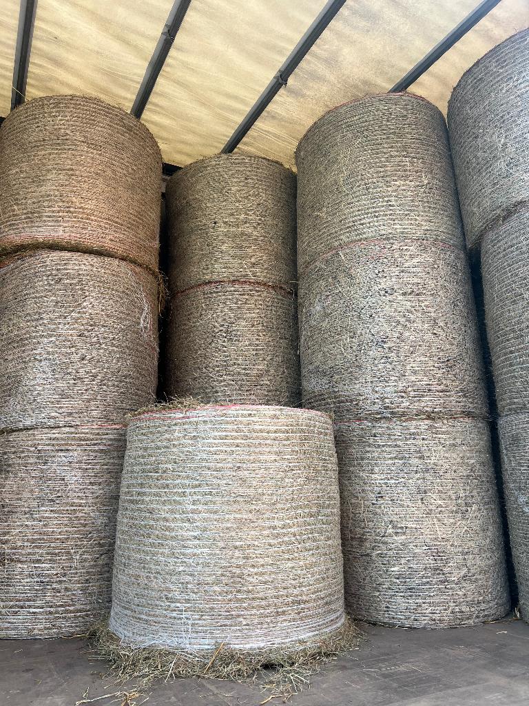 Midibalen hooi, Dieren en Toebehoren, Dierenvoeding, Ophalen of Verzenden, Overige soorten