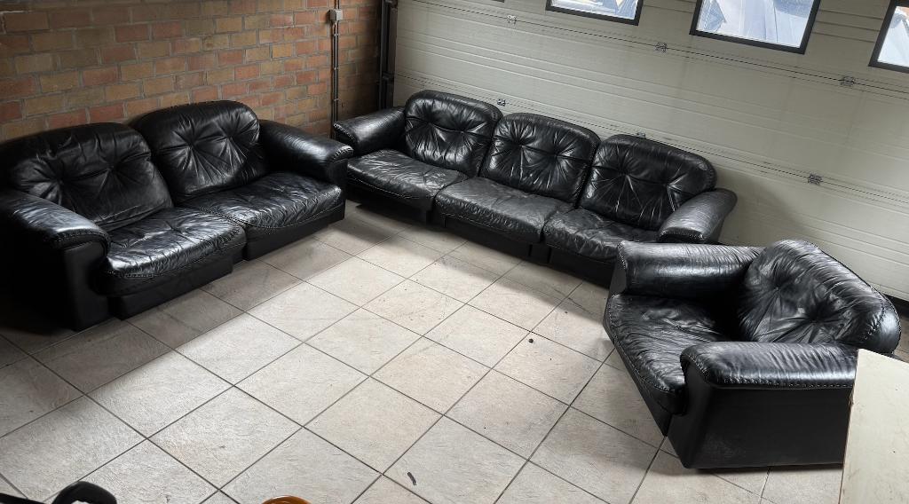 De Sede DS- 101 salon (3-zit, 2-zit en 1-zit), Autres dimensions, Banc droit, Enlèvement, Utilisé