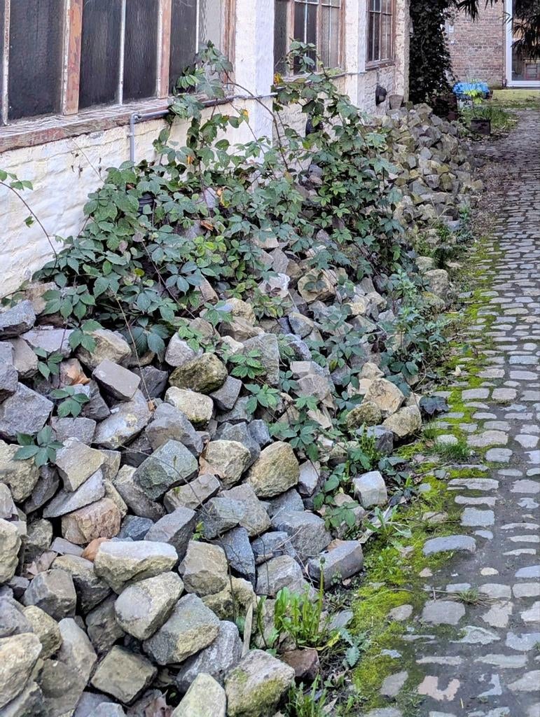 Pavés belges en porphyre, Enlèvement