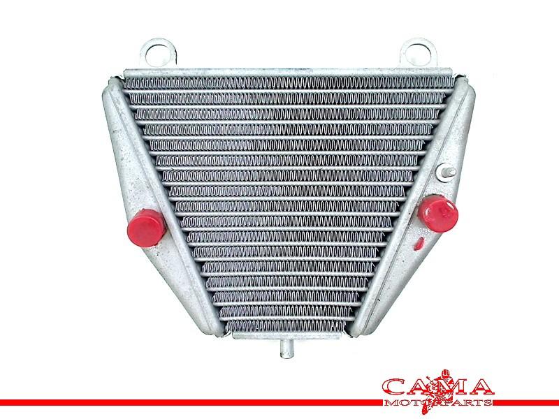 OLIEKOELER Ducati Panigale V4 2018- (01-2018/-) (54811363A), Dhr. S. di Majo, Gebruikt, Info@cama-motorparts.nl, P.J. Troelstraweg 8 8
3144 CX  MAASSLUIS, NL