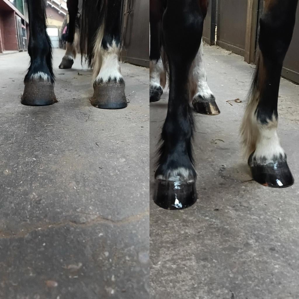 Hoefsmid, Bekapper, Enlèvement