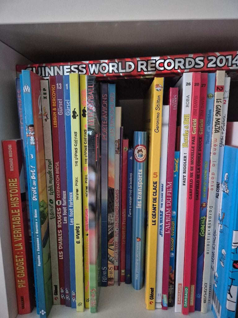 Divers BD, Livres, Enlèvement, Comme neuf