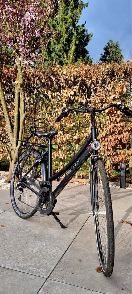 Damesfiets Norta., Fietsen en Brommers, Ophalen