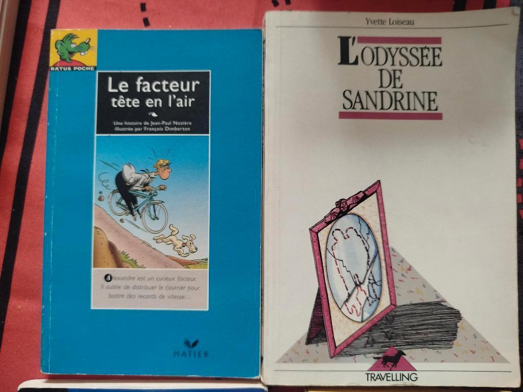 Livre scolaire, Ophalen of Verzenden, Zo goed als nieuw