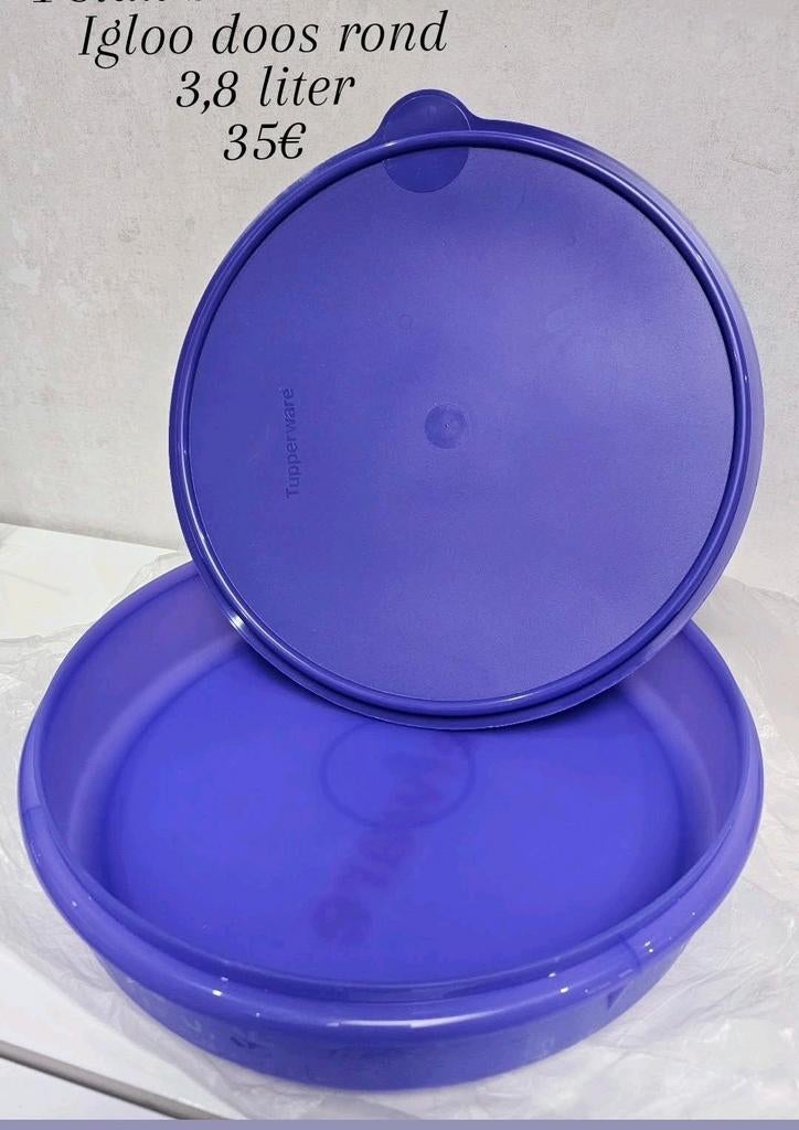 Boîte à igloo Tupperware ronde, Maison & Meubles, Enlèvement ou Envoi, Neuf