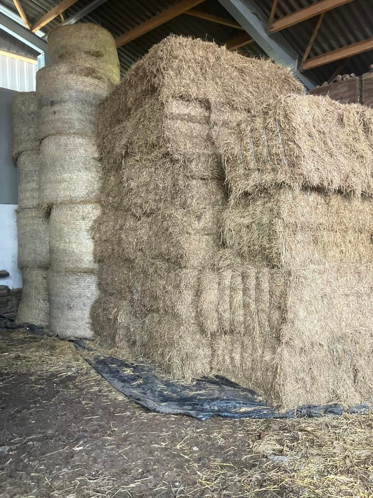 Hooi te koop, Dieren en Toebehoren, Ophalen