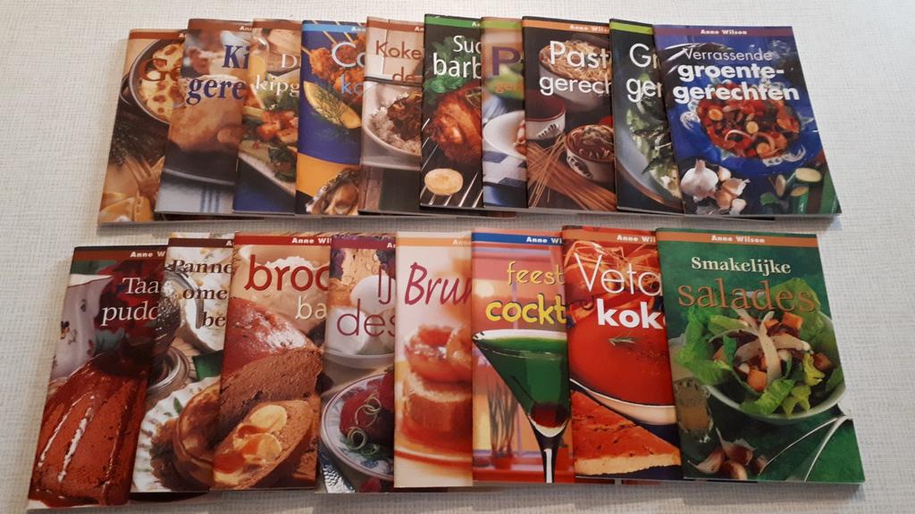 Pakket van 18 stuks nieuwe  Anne Wilson boekjes, Ophalen of Verzenden